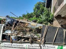 Best Yard Waste Removal  in Bevil Oaks, TX